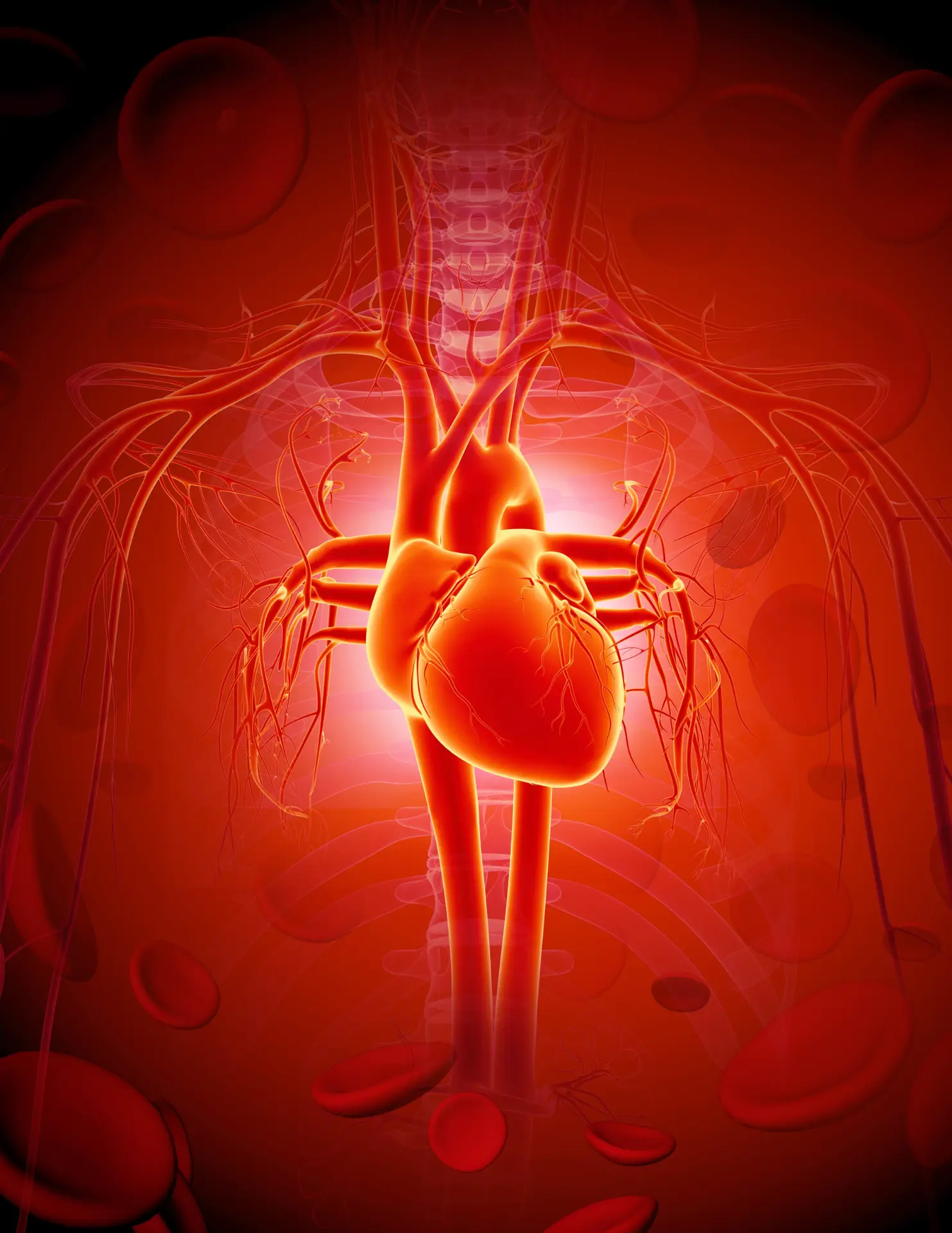 Machine learning-based models for cardiovascular disease prediction